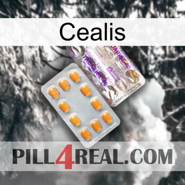 Cealis new12.jpg